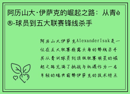 阿历山大·伊萨克的崛起之路：从青训球员到五大联赛锋线杀手